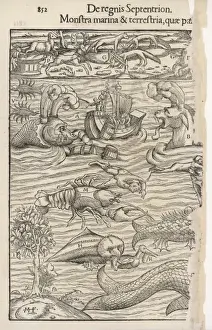 Folklore / Sea Serpent