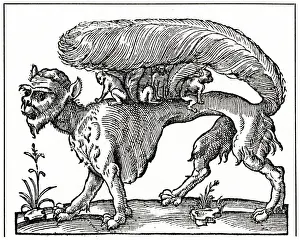 Bushy Prints: FOLKLORE / SUCCARATH 15C