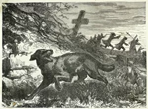 Hunt Collection: Folklore / Werewolves