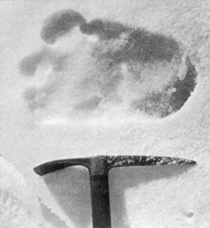 Unidentified Gallery: Folklore / Yetis
