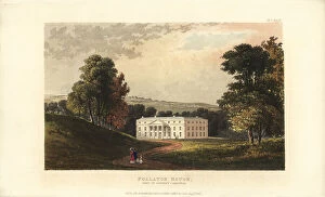 Camellia Collection: Follaton House, seat of Stanley Carey, Totnes Devon