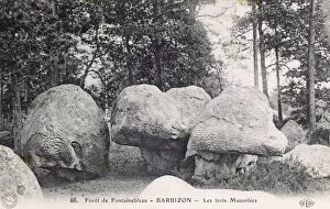 Stones Collection: Fontainebleau Forest - Three Mausoleum Boulders