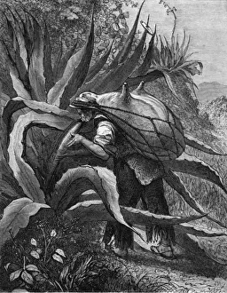 Extracting Prints: Food and Drink / Pulque