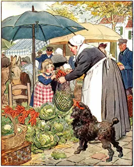 Poodle Collection: Food market