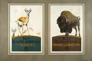 Food posters