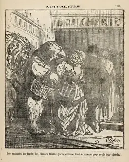 Food Shortage 1870