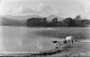 Coniston Prints: At the Foot of Lake Coniston