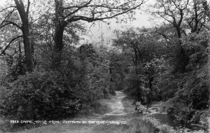 Woods Prints: Footpath by the Lake