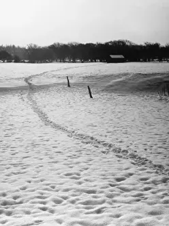 Footprints in the Snow