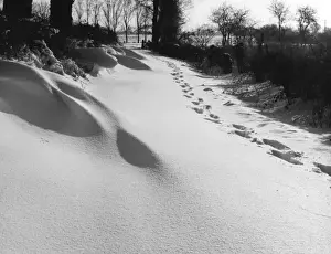 Footprints in the Snow