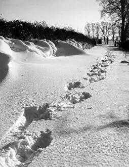 Images Dated 11th March 2011: Footprints in the Snow