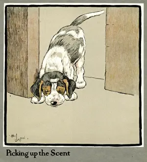 Follow Prints: Forager the puppy picks up a scent
