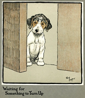 Puzzled Collection: Forager the puppy waiting for more food