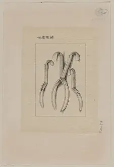 Forceps?