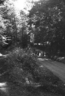 Chelmsford Gallery: Ford, Thought to be at Danbury, Essex