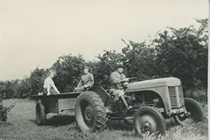 Fordson Vintage Tractor and Trailer