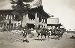 Foreign houses - Beijing, China