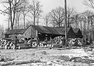 Forest lumber works, Western Front, France, WW1