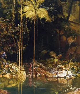 Latest Fine Art Prints: Forest Mirror, Queensland, Charles E Gordon Frazer