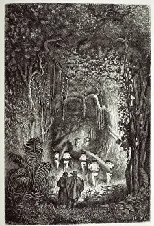 Lush Prints: Through the Forest to the Palta Lake
