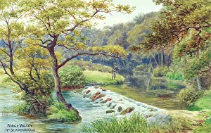 Forge Prints: Forge Valley, near Scarborough, North Yorkshire