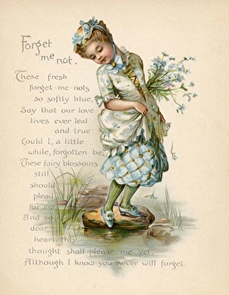 Personified Gallery: Forget Me Not / Language of Flowers