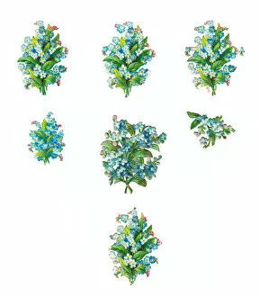 Images Dated 13th November 2015: Forgetmenots on seven Victorian scraps