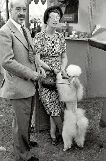 Owners Prints: Formally dressed couple with their fancy poodle taking a break at dog show in northern England