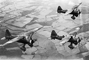 Defence Prints: Formation of UK Royal Airforce 2 (Ac) Squadron Westland ?