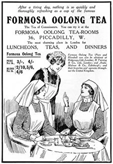 Adverts Gallery: Formosa Oolong Tea advertisement, WW1