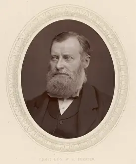 Forster / Woodbury Photo