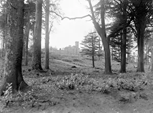 Fort Belvedere, Windsor