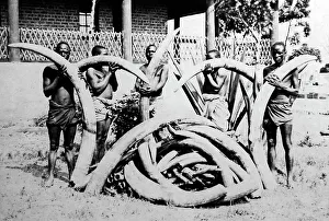 Nyasa Prints: Fort Johnston, Lake Nyasa, Nyasaland, Africa now Malawi