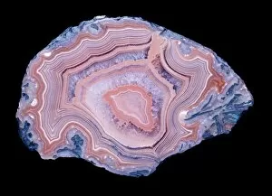 Natural History Museum Collection: Fortification agate