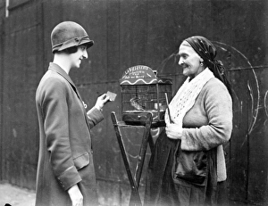Caged Gallery: Fortune Telling Canary