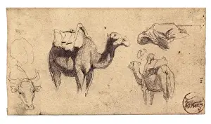 Art Sticos Prints: FORTUNY I MARSAL, Mariano (1838-1874). Camels. Notes