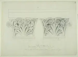 Waterhouse Prints: Fossil and plant illustration