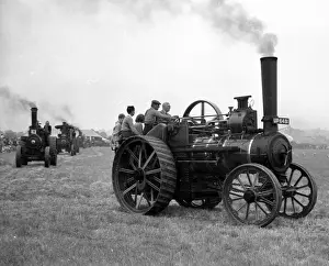 Foster General Purpose Engine Sprig UP 6481