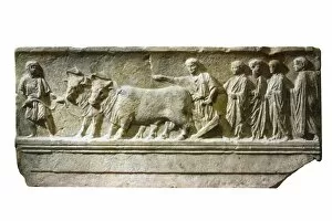 Oxen Gallery: Founding ceremony of the colony of Aquileia by tracing