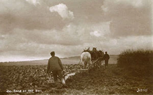 Labourer Collection: Four-horse Ploughing team at work - South Downs, East Sussex