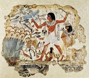 Appears Collection: Fowling in the marshes. ca. 1400 BC. 18th Dynasty