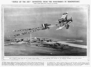 Fowls Prints: Fowls of the Air