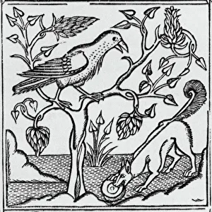 Fable Collection: The fox & the crow