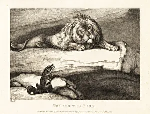 Gay And Phaedrus Prints: A fox foolishly approaching a male lion in his den