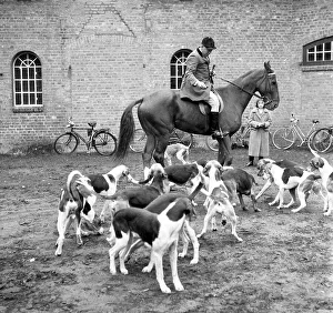 Fox hunting