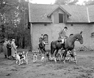 Fox hunting