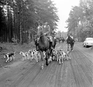 Foxhunting Prints: Fox hunting