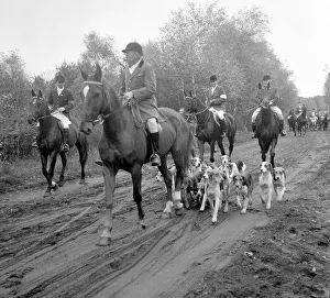 Foxhunting Prints: Fox hunting