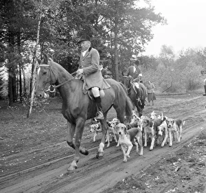 Fox hunting