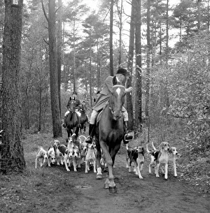 Hunters Prints: Fox hunting